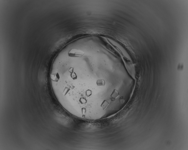 X0000089760303200707121409