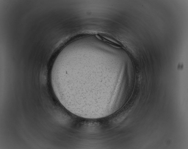 X0000089760304200707121409