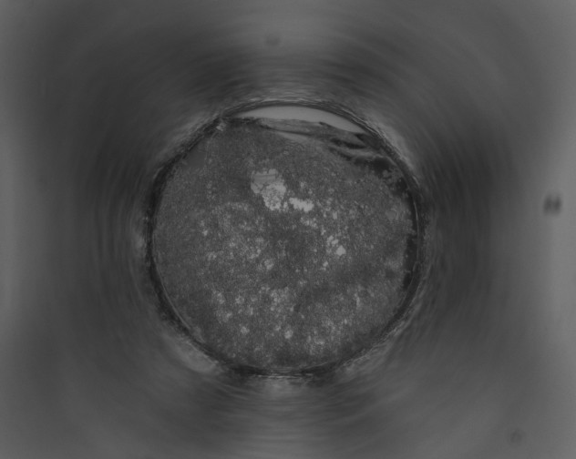 X0000089760305200707121409