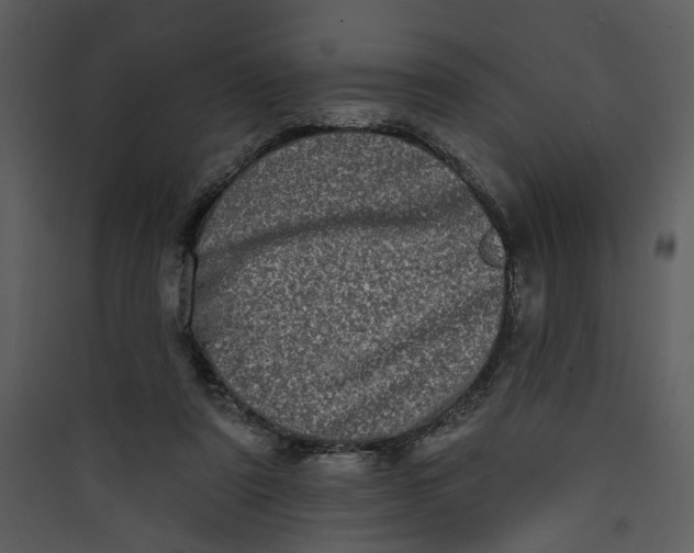 X0000089760307200707121409