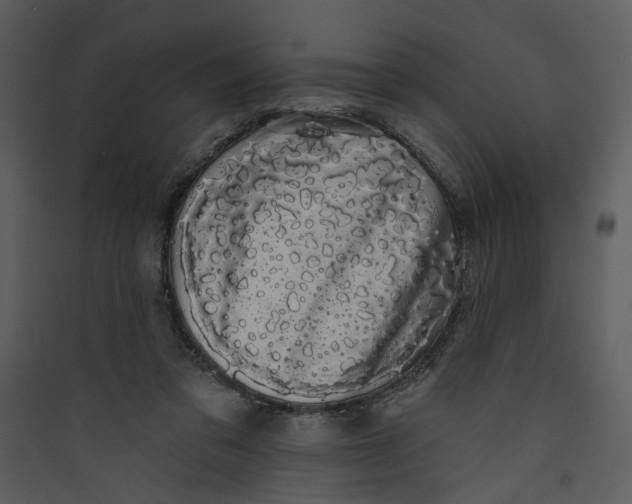 X0000089760309200707121409