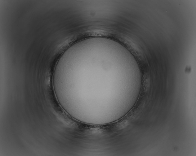 X0000089760310200707121409