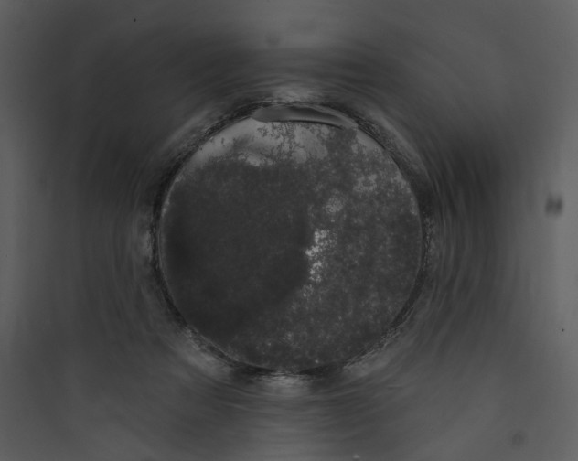 X0000089760313200707121409