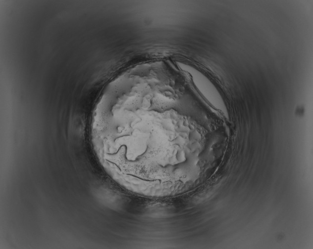 X0000089760315200707121409
