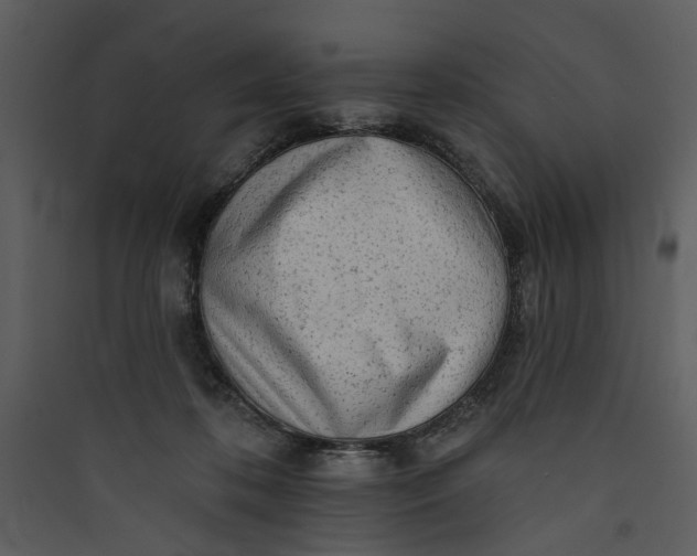 X0000089760316200707121409