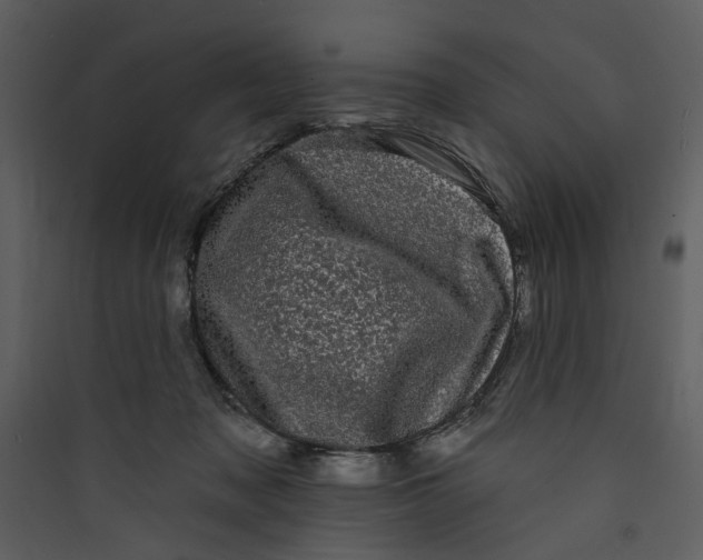 X0000089760317200707121409