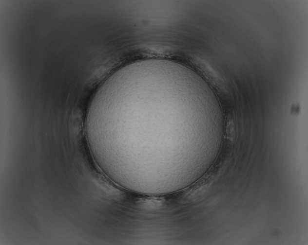 X0000089760318200707121409