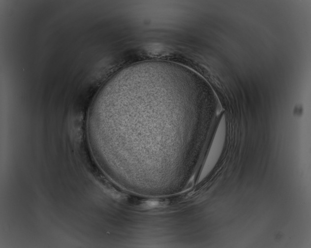 X0000089760319200707121409