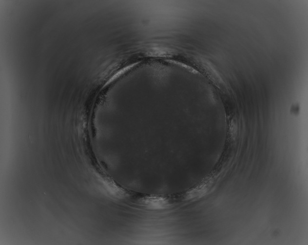X0000089760322200707121409