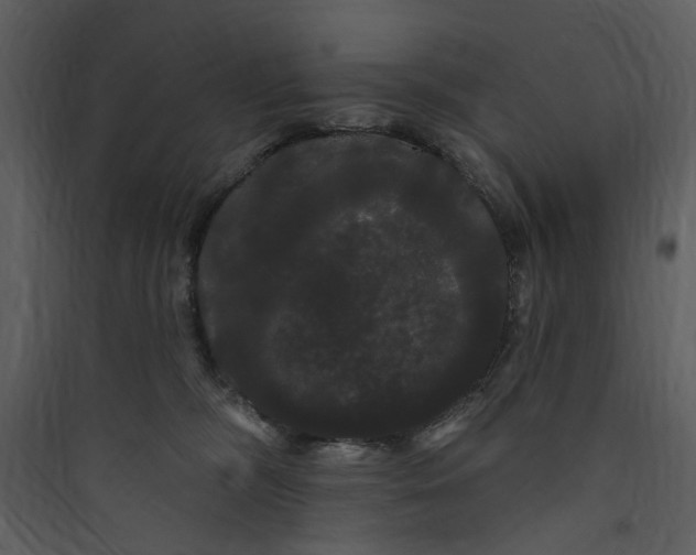 X0000089760326200707121409