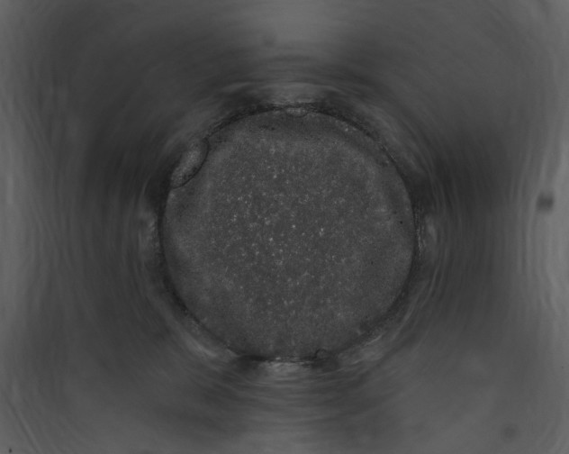 X0000089760327200707121408