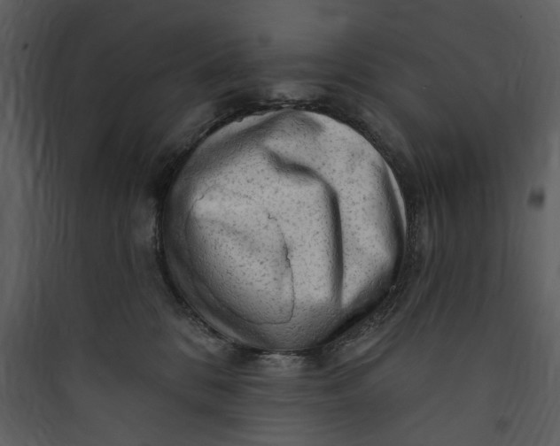 X0000089760328200707121408