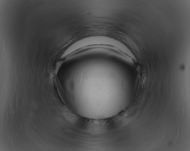 X0000089760329200707121408