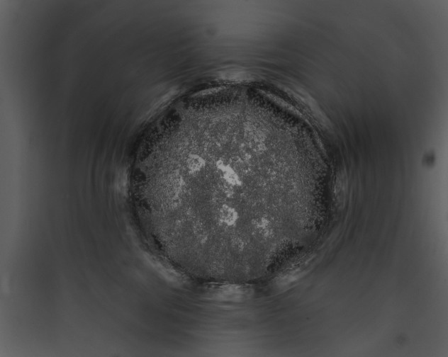 X0000089760330200707121408
