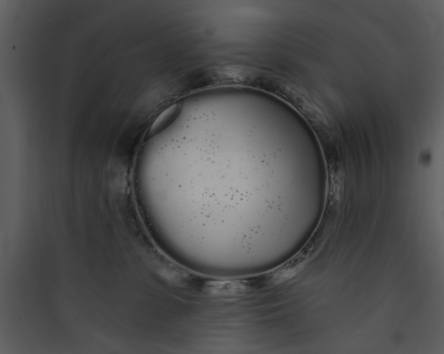 X0000089760331200707121408