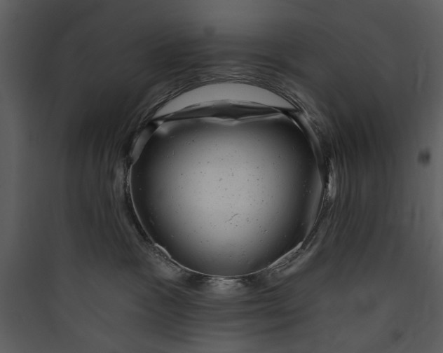 X0000089760333200707121408