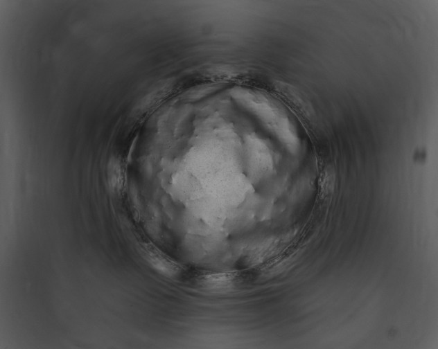 X0000089760335200707121408