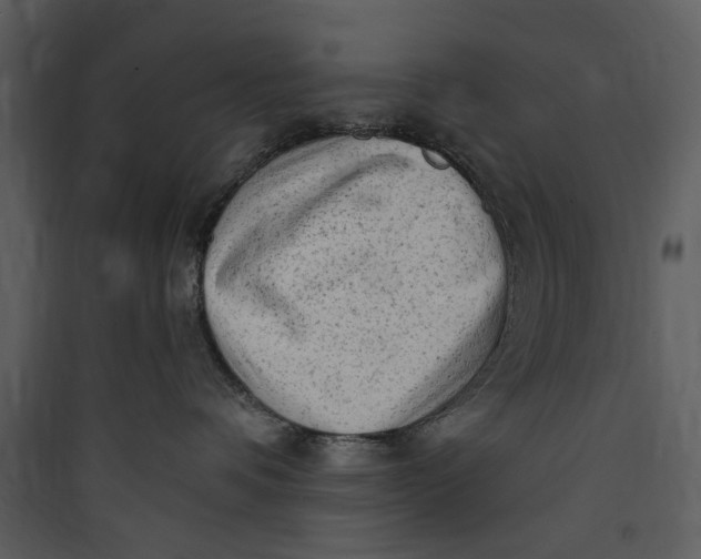 X0000089760336200707121408