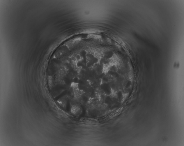 X0000089760337200707121408