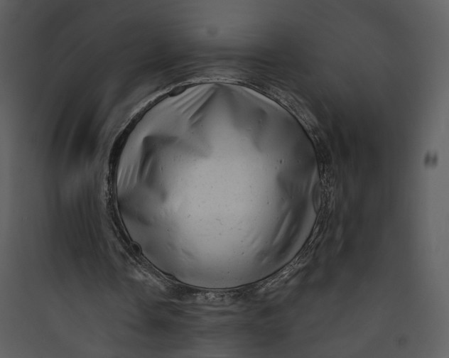 X0000089760338200707121408