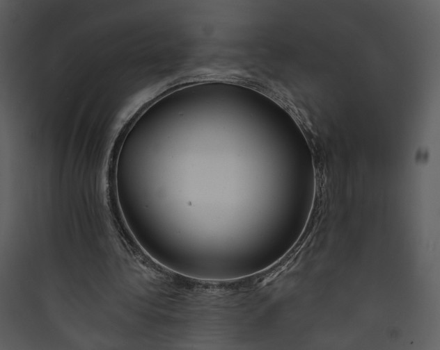 X0000089760340200707121408