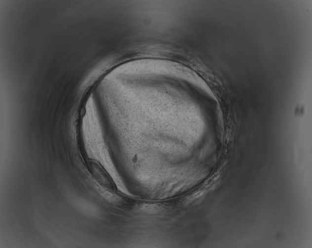 X0000089760341200707121408