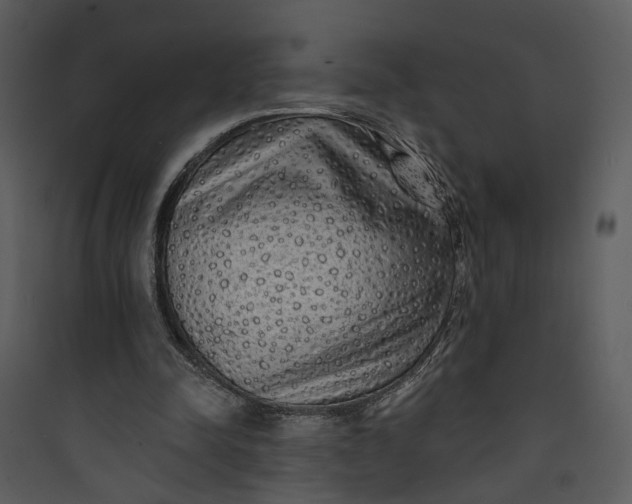 X0000089760342200707121408
