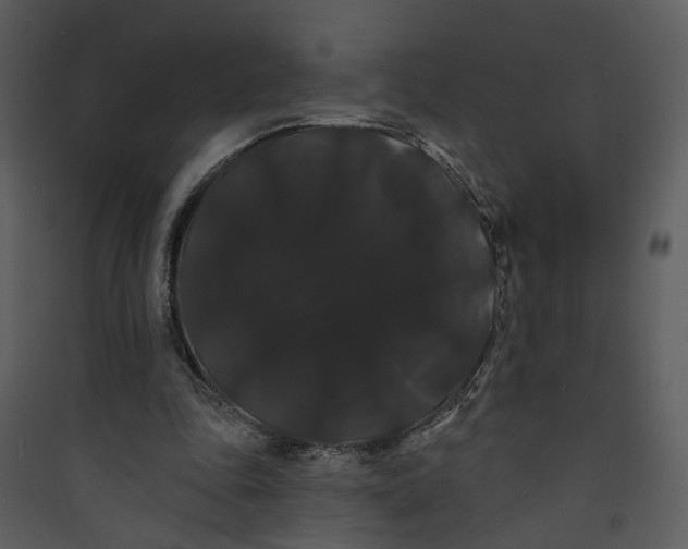 X0000089760343200707121408