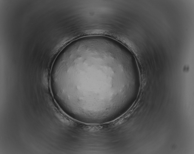 X0000089760345200707121408