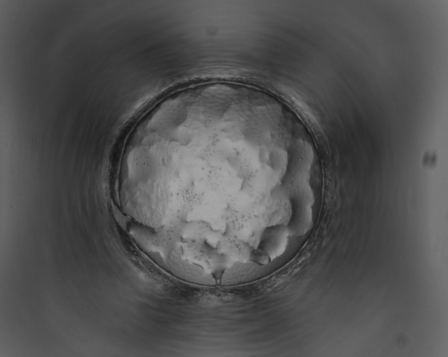 X0000089760346200707121408