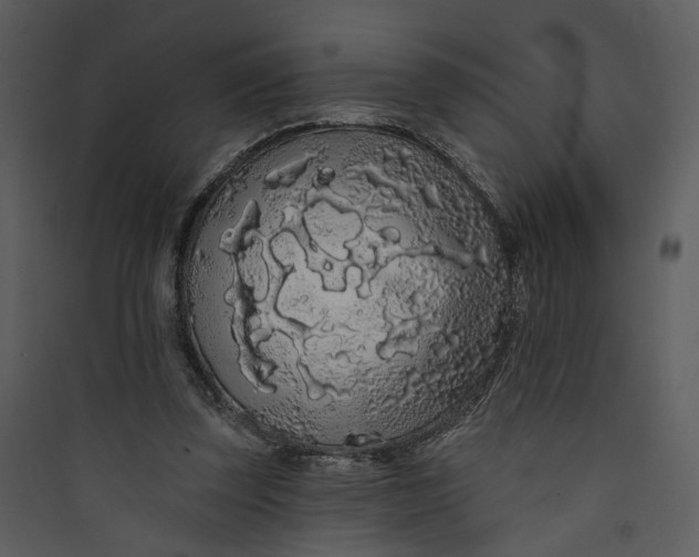 X0000089760347200707121408