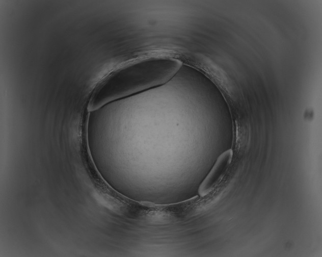 X0000089760348200707121408