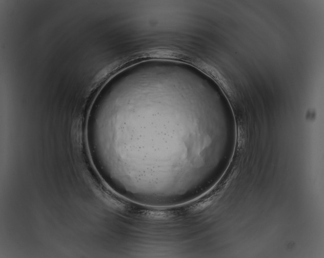 X0000089760349200707121408