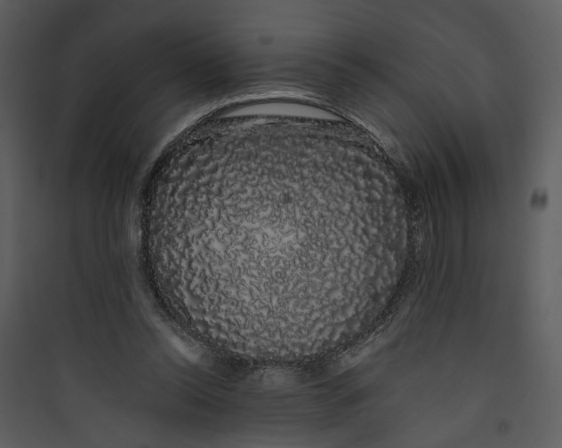 X0000089760350200707121408