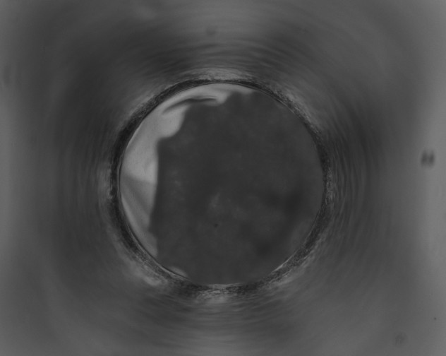 X0000089760351200707121408