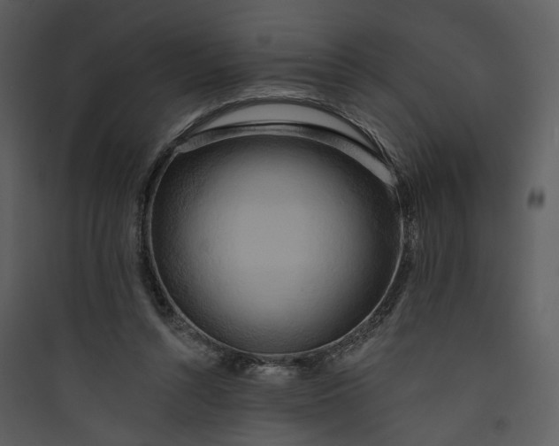 X0000089760352200707121408
