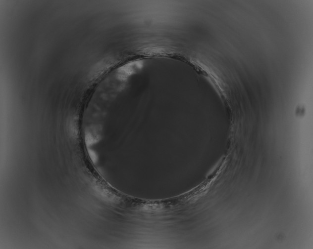 X0000089760353200707121408