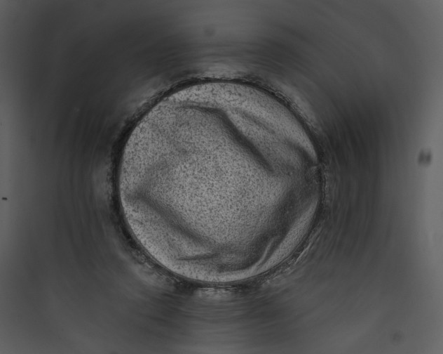 X0000089760354200707121408