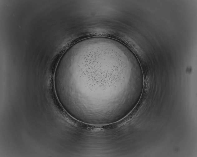 X0000089760355200707121408