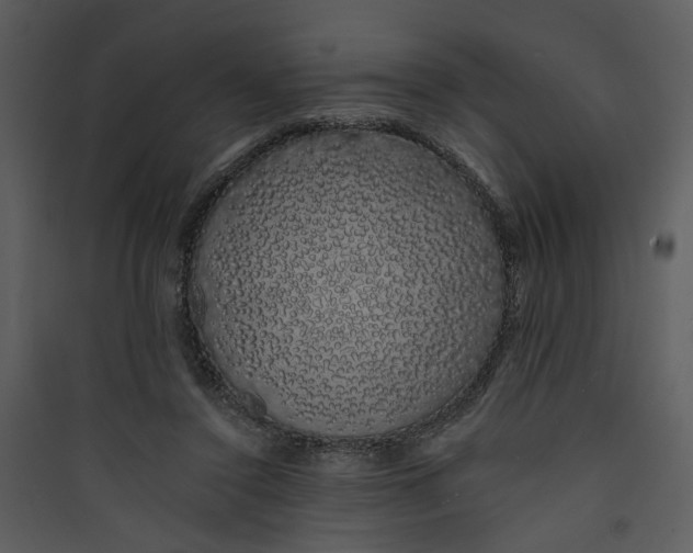 X0000089760356200707121408