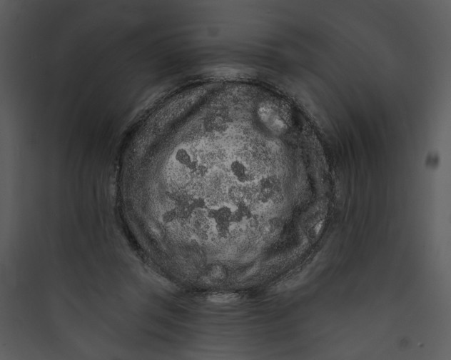 X0000089760357200707121408