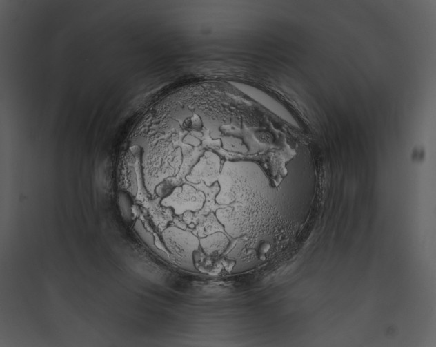 X0000089760359200707121408