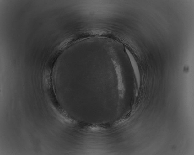 X0000089760360200707121408