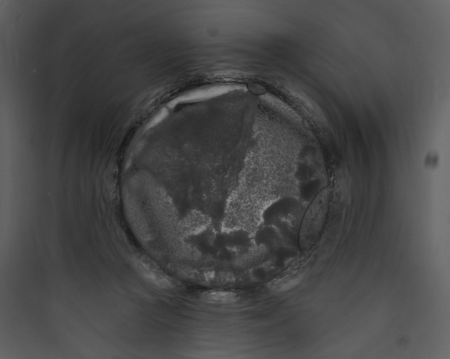X0000089760361200707121408