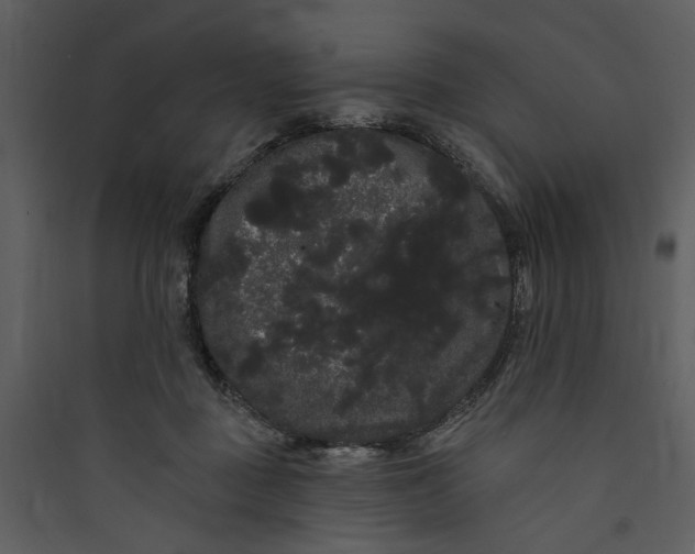 X0000089760363200707121408