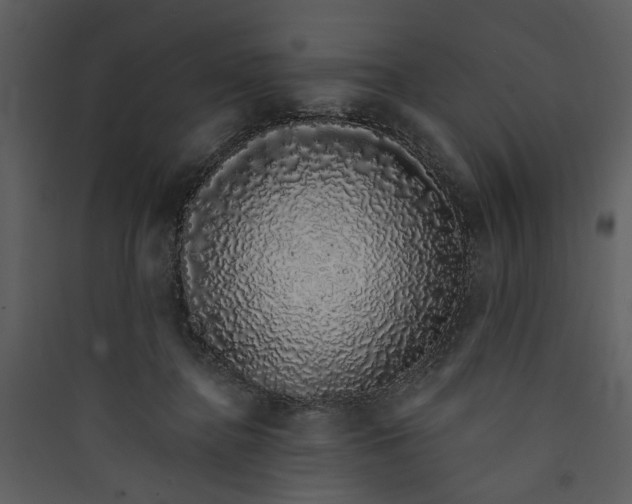 X0000089760364200707121408