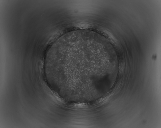 X0000089760365200707121408