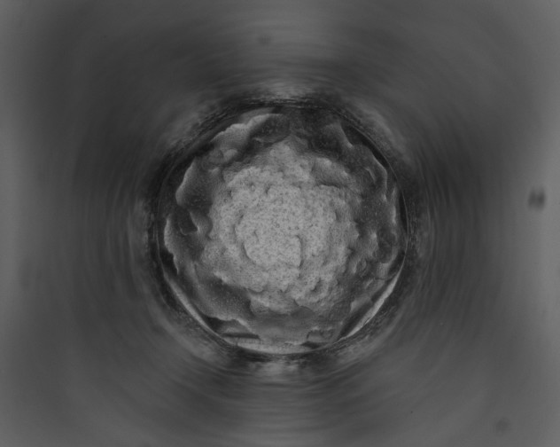 X0000089760366200707121408