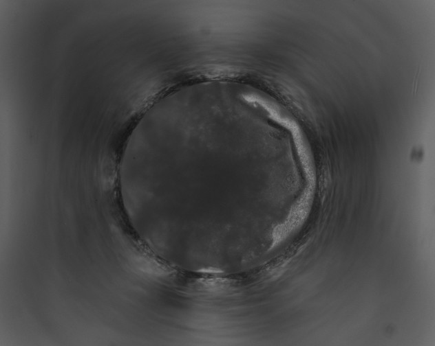 X0000089760367200707121408