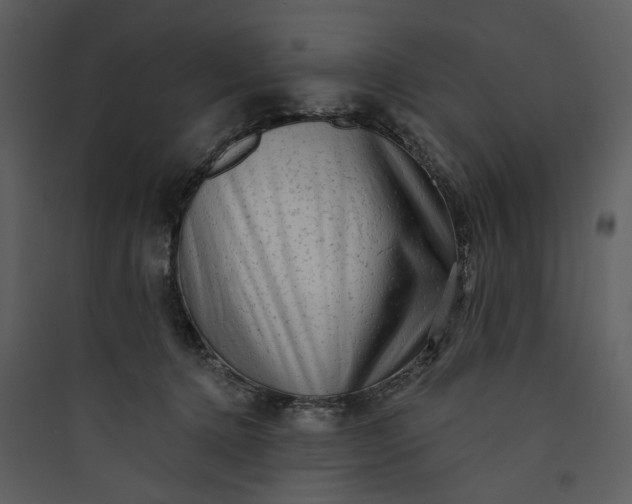 X0000089760368200707121408